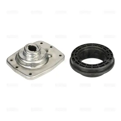 RAPRO R52060/K Amortisor Rulmani On C8 Expert Jumpy Scudo P807 P806 Evasion 97> 5035.38