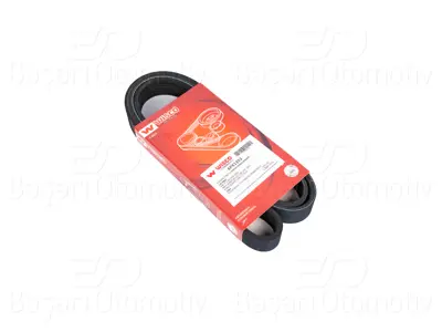 WISCO 1114426-00 V Kayis (Kanalli Kayis) (6pk1353) 1114426-00