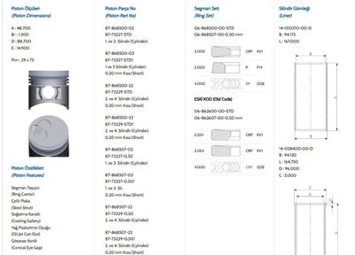 GOETZE NÜRAL 87-73229 STD Piston-Segman 2341042630 MD304859 PA9653 6763600 2341042640 2341042610 S1950370 8786260042 6811400 2341042650