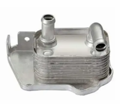 BSG 65-506-021 Yag Sogutucu 97373774 5650790