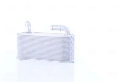BSG 90-506-030 Sanzuman Yag Sogutucu 0BT317019