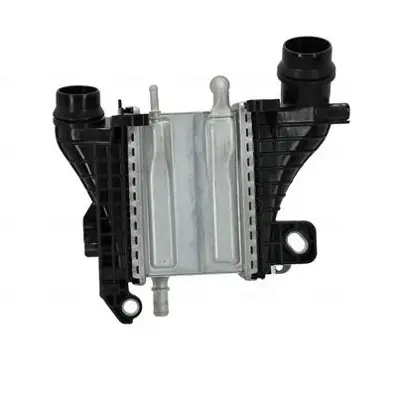 BSG 75-535-029 Turbo Radyatörü 144967867R