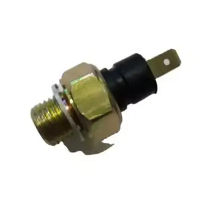 BSG 25-840-020 Yag Basinç Müsürü 4298311 FA94200001 3921356 4422049 86AU9278AA XOPS7 3911925 5428649 3901430 21060382901001