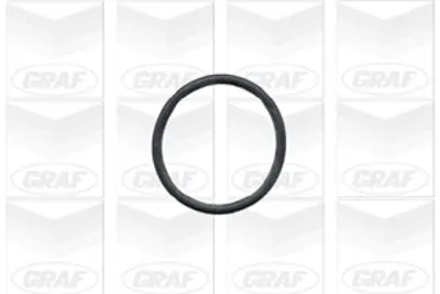 GRAF PA431 Devirdaim M40 E34-E3690-93 11511734269 1297 130105 1370 20150028 21729 3130112100 330041 352316170038 500304 506110 530 538017310 65021 852700 860011006 9001246 980514 AQ1106 B215 BW016 CP2740 D1B017TT DP495 FP7277 FWP1497 GWP2579 P471 PA10586 PA32016 PA5402 PA660 PA675R QCP2804 T0057 VKPC88616 WAP812200 WFP7277 WP0243 WP0341 WP1732 WP660