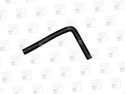 MES 1170 Benzin Hortum R12 (Kalin Dirsek   Nbr) 11118 608116200