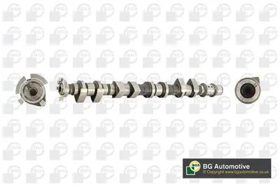 BGA CS9523 Eksantrik Mili Emme 2011 Aveo  55568390 CAM1020 EC6390