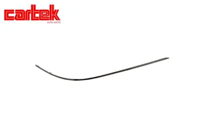 CARTEK TPMRDRY226 Tampon Nikelaji Cls Arka Sag W218 11>14 A2188851021
