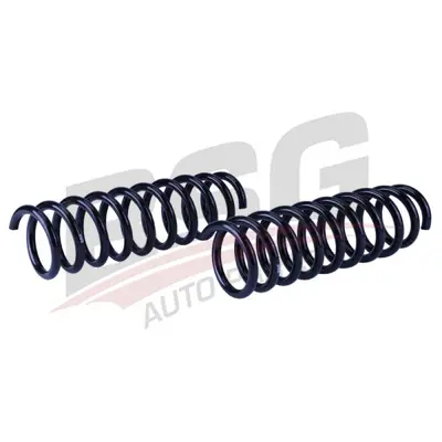 BSG BSG 44-305-009 Helezon Yayi Arka 553502Y100 54843 QCS7963 AF2451 RA6125 SP3934 875043113 N5550542 85938 4237243