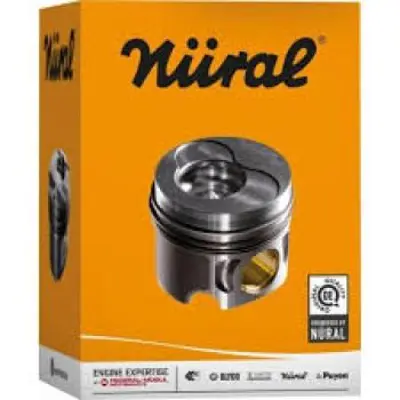 GOETZE NÜRAL 87-72501 STD1 Piston-Segman 40683620 76107065C