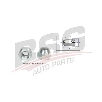 BSG BSG 30-230-069 Bijon Somunu W713392S440 W700344S309 8665333 6040307 757531 999359 338014 E826092S76 10225 27413