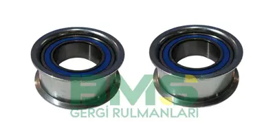 BMS 756 Alternatör Gergi Rulmanı 