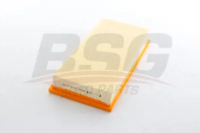 BSG BSG 85-135-013 Hava Filitresi GM 1780102050