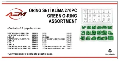 AEM 13 1230 Oring Seti KLİMA270 Adet 