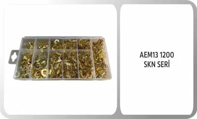 AEM 10 1200 Xenon Ampul D8S 6000K 