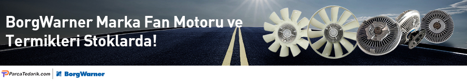 BORGWARNER